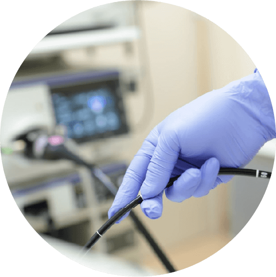 内視鏡検査の様子